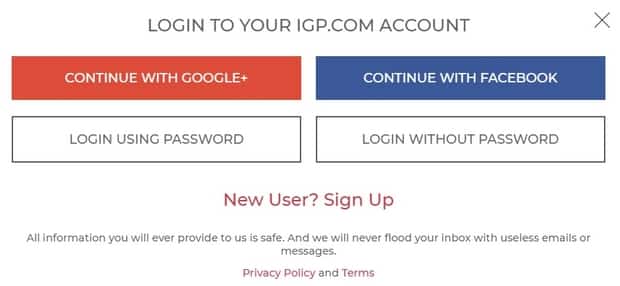 Rejestracja igp.com