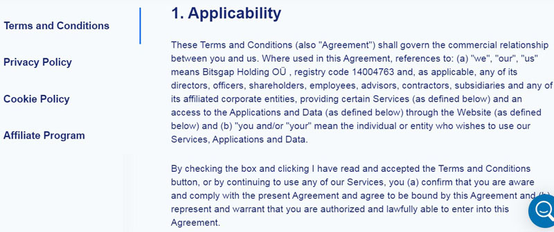 Umowa z użytkownikiem bitsgap.com